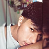 vangelsin_h