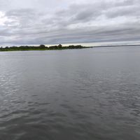 anaocampo0581