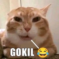 original sound - mennn