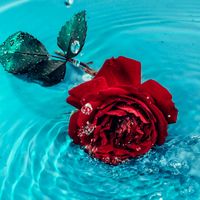 mohmad.khalaf32