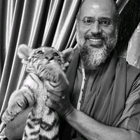 الصوت الأصلي