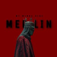 merlin_q1