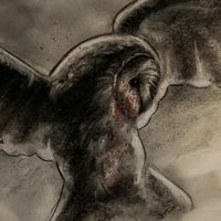dark.artss