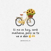 videosdetodo_210
