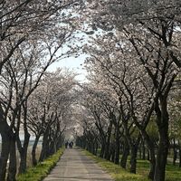 오리지널 사운드 - ⚪️🔘오앙우왕🔘⚪️