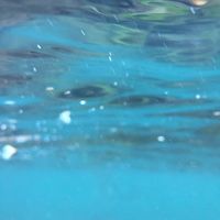 オリジナル楽曲 - 拙筆