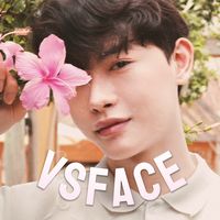 vsface