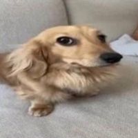 jwbsnz_