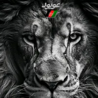 original sound - malikmk500