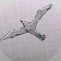 Очко чует подвох