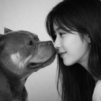 오리지널 사운드 - ☘️Yujin☘️