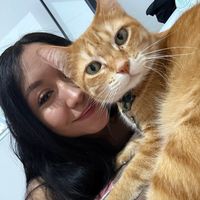 quesoymaya_