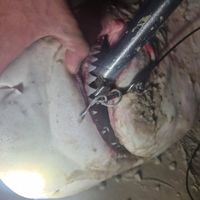 hazzaboi05_fishing