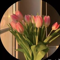 lilianachumil18