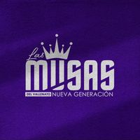 sonido original - Las Musas del Vallenato NG