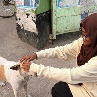 _alukaparatha_777_