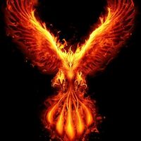 original sound - 🔥PHOENIX BIRD🔥