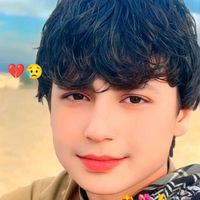 shiaziab.gull
