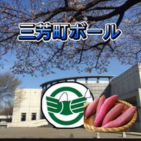 miyoshi_town_ball