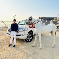mir.arslan
