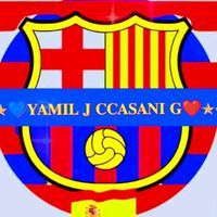 ccasani11
