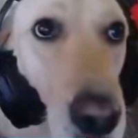 Thank you for using my sound loll