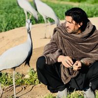 juned.wazir