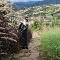 nhạc nền - Dâu 30T🇻🇳 🥰❤