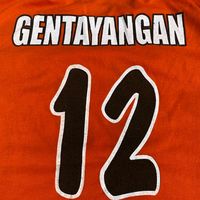 widodo3101