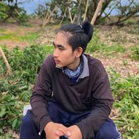 minoin202
