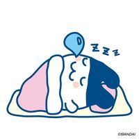 han._.nara0306