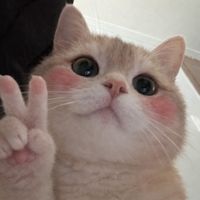 pprinnnnnnnnnce