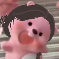 llmpr_