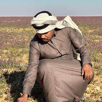 original sound - rmaed