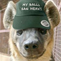 НЕТ НЕТ НЕТ НЕТ НЕТ НЕТ