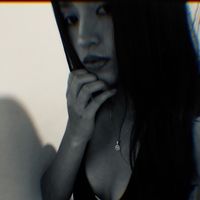 vane_ssa833