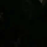 original sound - anyee_tf