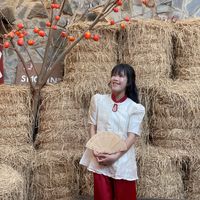 nhạc nền - Thanh Thảoᡣ𐭩