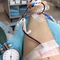 suara asli - Putra Maulana Malik