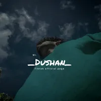 original sound - _mr_dushan_