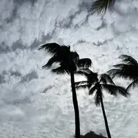 original sound - shaysaung09