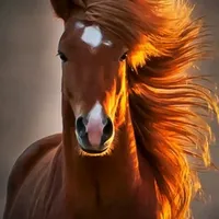 original sound - k___.kill