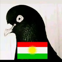 fawbaz86