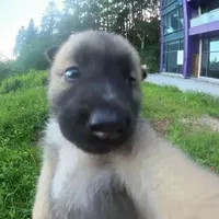 original sound - duybinh1.2