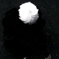 hade_top