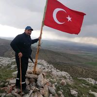 kral_38.bekir