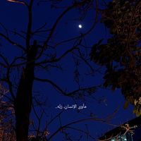 الصوت الأصلي