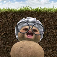 Sói hoang hư hỏng