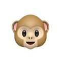 user8796888075192