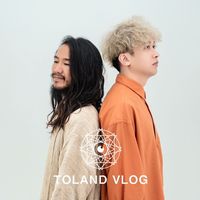 vlog.toland